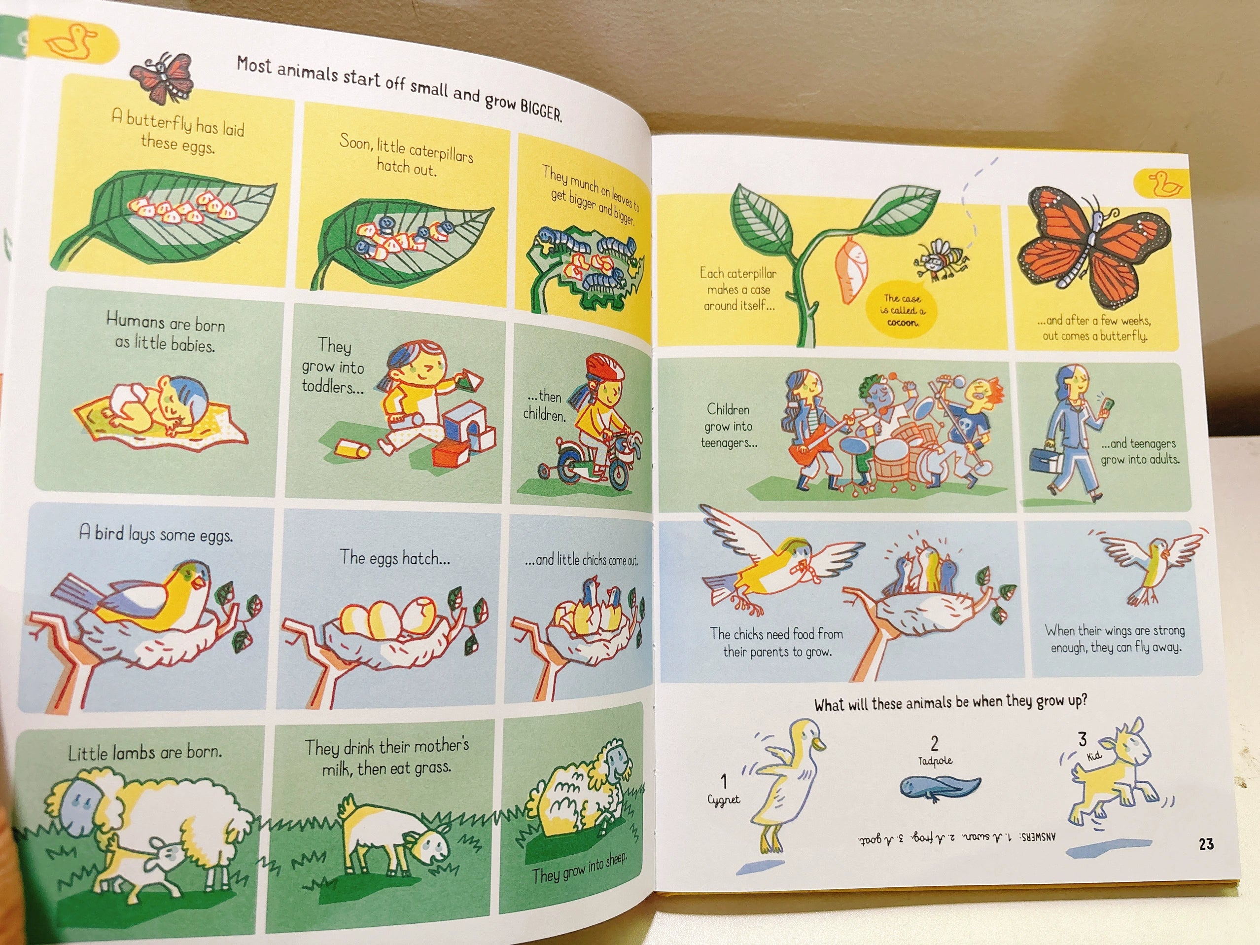 All the Science you need to know by age 7 Children Educational English Picture Reading Book