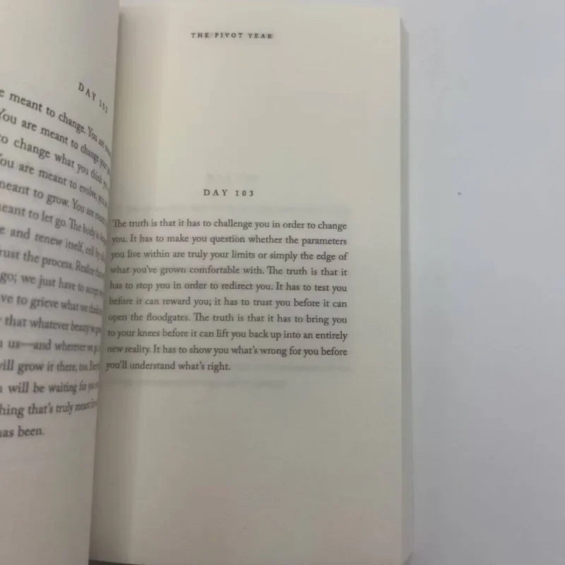 Book: An Interesting Transitions Year Where You Can Learn A Lot, English Reading Book Novels, Preferred Gift For Children