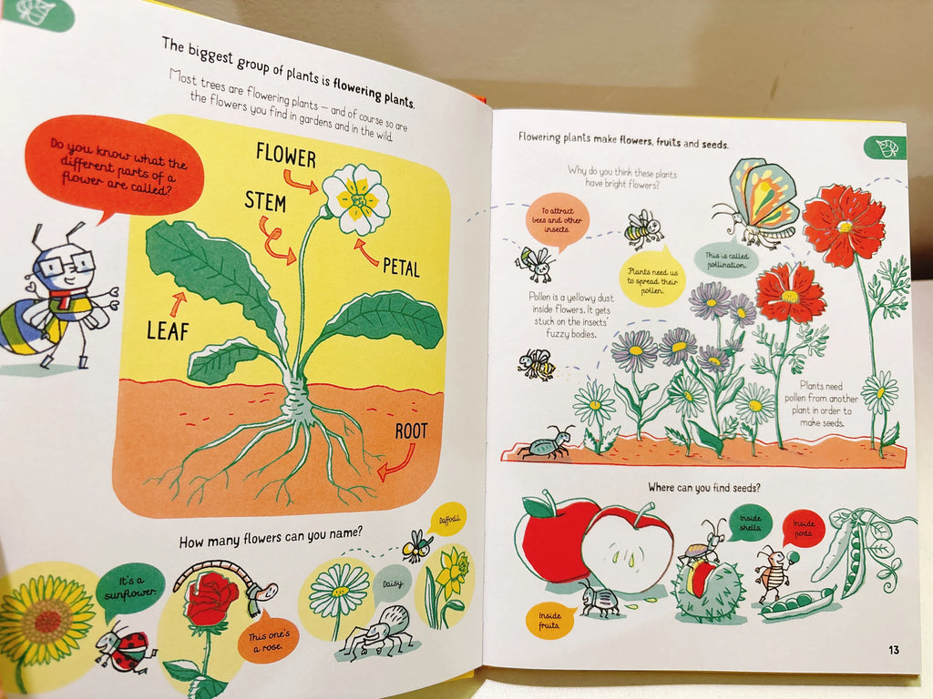 All the Science you need to know by age 7 Children Educational English Picture Reading Book